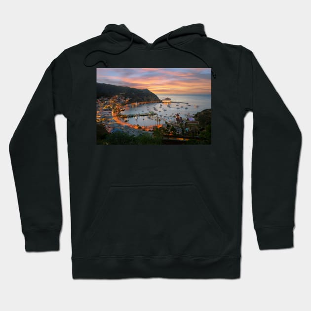 Catalina Island Hoodie by jswolfphoto